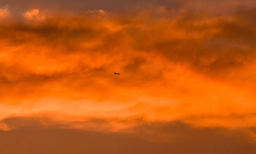 Low angle view of orange sky