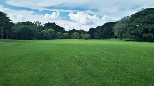 Scenic view of field against sky