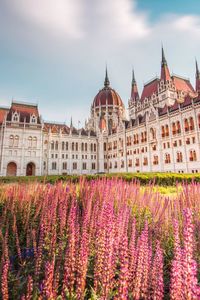 Flowers against hungarian parliament building on sunny day