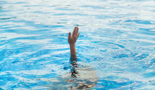 High angle view of man swimming in pool