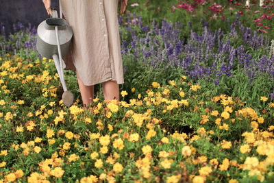 Midsection of woman watering while standing by plants