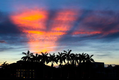 Low angle view of palm tree against cloudy sky
