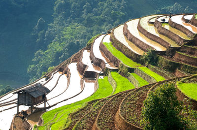 High angle view of agricultural landscape