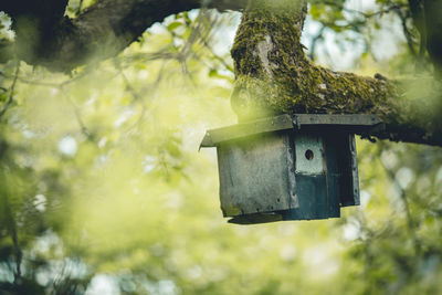 Low angle view of birdhouse on tree trunk