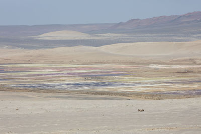 Scenic view of desert against sky