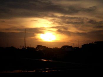 Silhouette of trees at sunset