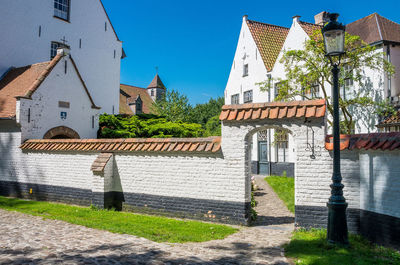 Plants by white building against blue sky