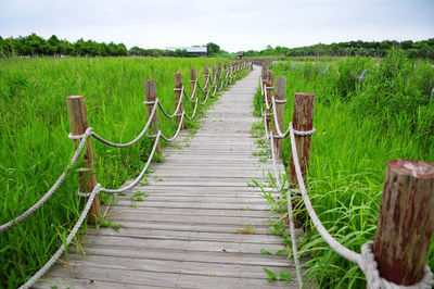 Pier over lake