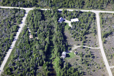 High angle view of trees on field