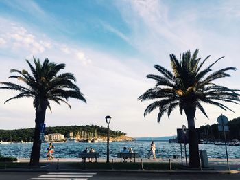 Palm trees at beach against sky