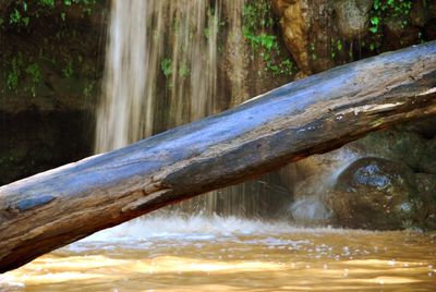 Close-up of waterfall in forest
