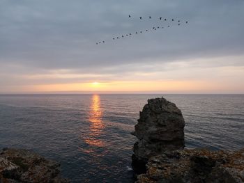 Birds flying over sea against sky during sunset