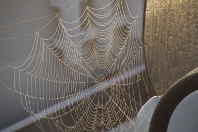 Close-up of spider web