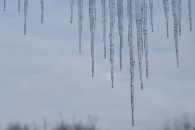 icicle