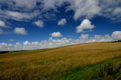 Scenic view of field against sky