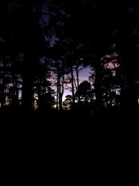 Silhouette trees in forest against sky at night