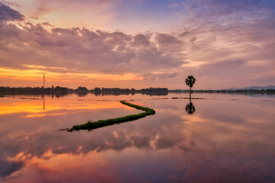 Scenic view of sky during sunset