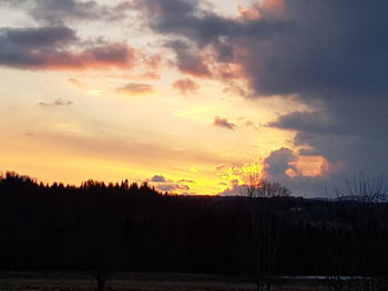 Silhouette trees on landscape against sky at sunset