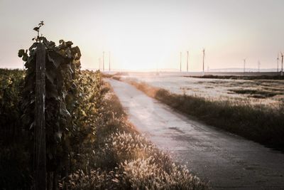 Dirt road amidst field against clear sky