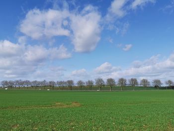 Scenic view of field against sky