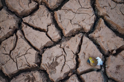 Full frame shot of cracked land