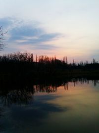 Reflection of trees in calm lake