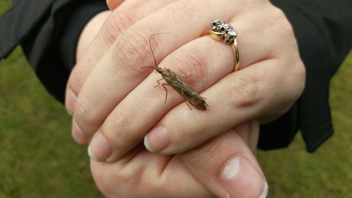 Close-up of cropped hand holding finger