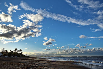 Beach Beauty In