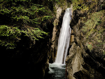 Scenic view of waterfall in forest