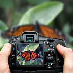 Cropped image of man photographing through camera