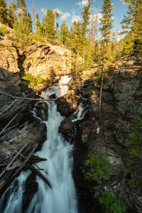 Scenic view of waterfall in forest