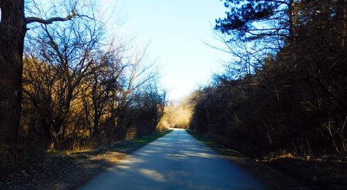 Empty road along trees