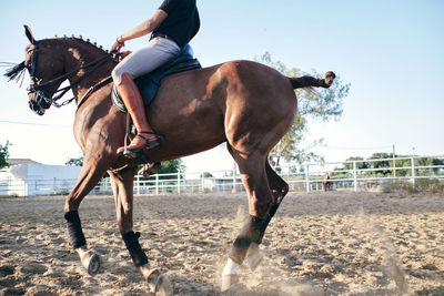 Side view of cropped unrecognizable male equestrian in boots and uniform riding horse on sand arena on ranch during training