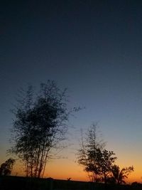 Low angle view of silhouette trees against sky at sunset