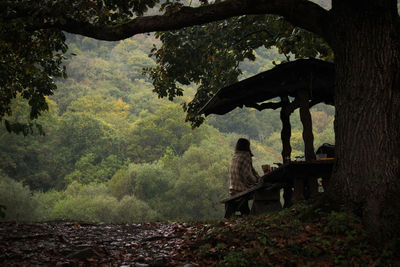 People sitting on bench in forest