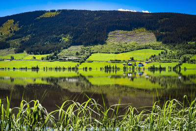 Scenic view of lake by mountain