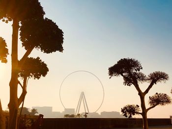 Trees and ferris wheel against clear sky during sunset