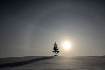 Silhouette trees on landscape against sky during sunset