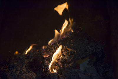 Close-up of bonfire at night