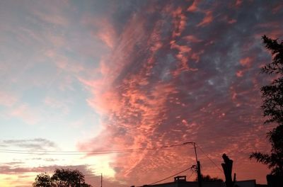 Low angle view of silhouette trees against sky during sunset