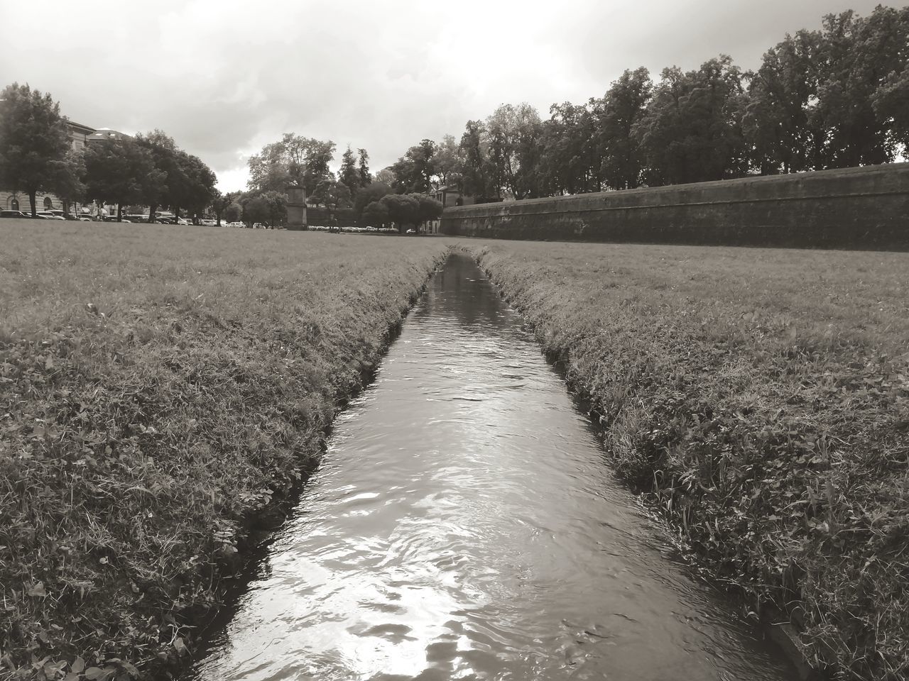 plant, tree, tranquility, nature, tranquil scene, water, day, beauty in nature, landscape, scenics - nature, sky, no people, growth, environment, land, field, rural scene, outdoors, diminishing perspective, canal, flowing water, flowing