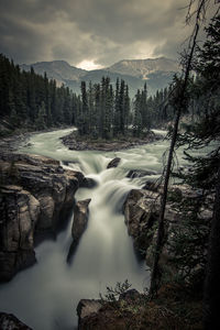 Scenic view of waterfall in forest