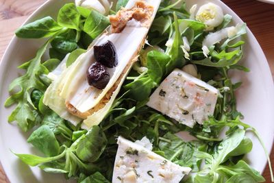 Close-up of salad in plate