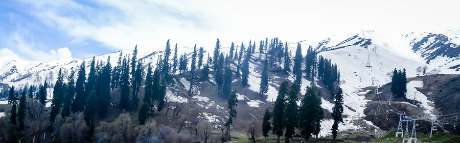 Panoramic view of trees on snowcapped mountains against sky