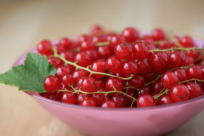 Close-up of fruits in bowl