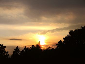 Silhouette trees against sky at sunset