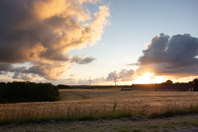 Scenic view of field against sky during sunset