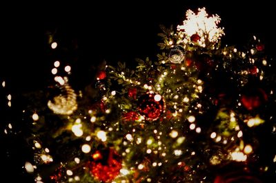 Low angle view of illuminated christmas tree at night