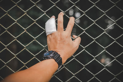 Cropped hand of man holding chainlink fence