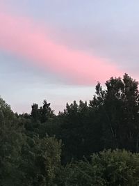 Low angle view of trees against sky